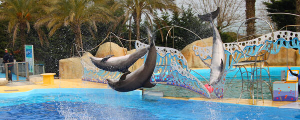 Parc Marineland Antibes