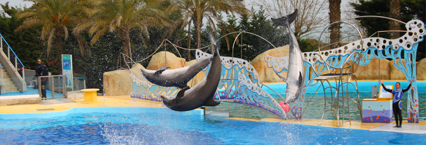 Parc Marineland Antibes