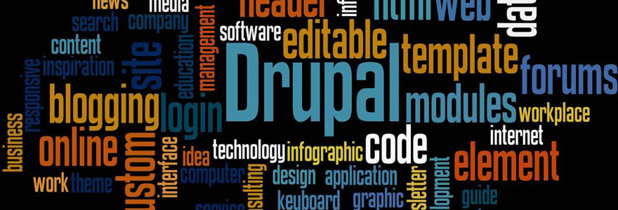 Services proposés par une agence web Drupal