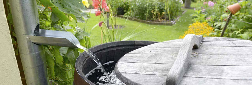 traiter l'eau de pluie