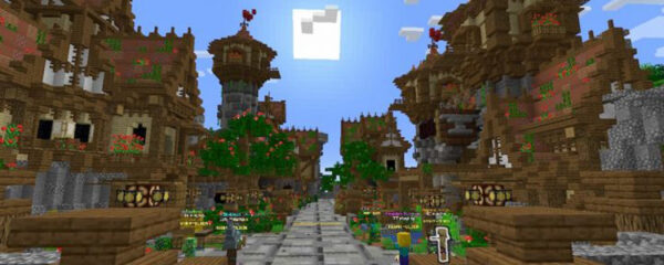 serveur Minecraft