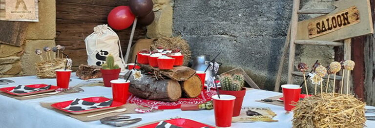Les meilleures idées pour une décoration western
